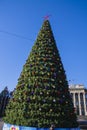 Beautiful new year tree in Krasnodar