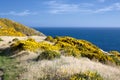 Beautiful New Zealand landscape.