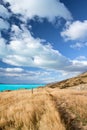 Beautiful New Zealand Landscape