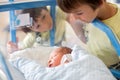 Beautiful newborn baby boy, laying in crib in prenatal hospital, his brothers looking at him Royalty Free Stock Photo