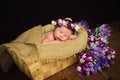 Beautiful newborn baby girl with a purple wreath sleeps in a wicker basket Royalty Free Stock Photo