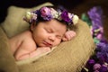 Beautiful newborn baby girl with a purple wreath sleeps in a wicker basket Royalty Free Stock Photo