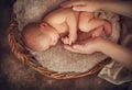 Beautiful newborn baby studio portrait sleeping in a basket over brown background in mother hands