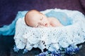 Beautiful newborn sleeping baby boy Royalty Free Stock Photo