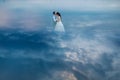 Beautiful newlywed couple in sky. Royalty Free Stock Photo