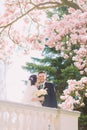 Beautiful newlywed couple on terrace in sunny garden under blossoming magnolia tree branches. Bride is kissing groom' cheek