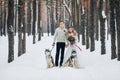 Beautiful newlyweds with two siberian husky are posed on background of snowy forest. Artwork