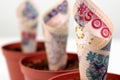 Close up three Nigerian banknotes money. Five hundred naira notes in flower pots for financial investment and savings concept.