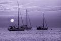 Beautiful night Adriatic sea, yachts and full moon, Croatia. Night seascape Royalty Free Stock Photo