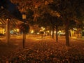 Beautiful night autumn, colorful leaves fall on the ground and interesting city colors, harmoniously tuned