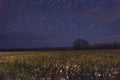 Beautiful night in the flowering valley, scenic landscape with wild growing flowers and blue starry sky, star trails Royalty Free Stock Photo