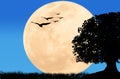 Beautiful night full moon at wild