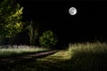 Beautiful night landscape of big full moon rising over the mountain road with hill and trees, mystical concept Royalty Free Stock Photo