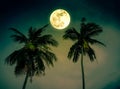 Beautiful night landscape of green sky with bright full moon over coconut palm. Serenity nature background. Outdoor at nighttime. Royalty Free Stock Photo