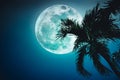 Beautiful night landscape of sky with supermoon behind betel palm tree