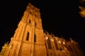 Beautiful Night Shot Of The Cathedral In Astorga. Architecture, History, Camino de Santiago, Travel, Night Photography.