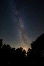 Beautiful night sky featuring a vast array of stars twinkling above a lush, dark forest.