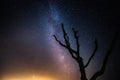 Beautiful night sky with milky way and silhoutte of old dead tree in a national park. Royalty Free Stock Photo