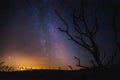 Beautiful night sky with milky way and silhoutte of old dead tree in a national park.