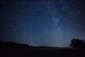 Beautiful night sky, the Milky Way, star trails and the trees Royalty Free Stock Photo