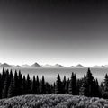 A beautiful night sky from a mountain peak, black and white wallpaper, generative ai Royalty Free Stock Photo