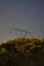 Beautiful night view of power lines, electric transmission pylon, falling Lyrid meteor and spring yellow flowering gorse Ulex Royalty Free Stock Photo