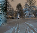 Beautiful night winter Ivan Franko park in the center of Lviv city Ukraine. Royalty Free Stock Photo