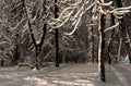 Beautiful night winter Ivan Franko park in the center of Lviv city Ukraine. Royalty Free Stock Photo