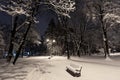 Beautiful night winter park in the center of Lviv city Ukraine. Royalty Free Stock Photo