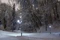 Beautiful night winter Stryjskyj park in Lviv city Ukraine. Royalty Free Stock Photo