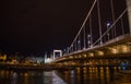 Nightview of Elizabeth bridge in Budapest