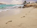 Beautiful Nissi beach with rolling sea with waves on a cloudy murky day in Ayia Napa, Cyprus Royalty Free Stock Photo