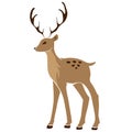 Beautiful noble sketch deer are ruminant mammal in family Cervidae. Side view. hand drawn picture sketchy.