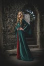 Beautiful noble young lady in a medieval dress looks with pride Royalty Free Stock Photo