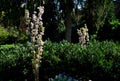 Beautiful nook in the spa park with light paths and flowering shrubs perennials and bulbs in a colorful combination of colors. tra Royalty Free Stock Photo