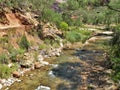 North Fork Virgin River in Zion National Park Royalty Free Stock Photo