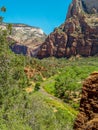 North Fork Virgin River in Zion National Park Royalty Free Stock Photo