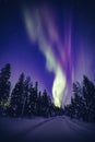 Beautiful Northern Lights Aurora Borealis in the night sky over winter Lapland landscape, Finland, Scandinavia Royalty Free Stock Photo