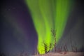 Beautiful northern lights over lappland in finnland