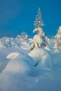 Beautiful Northern Nature - Winter Landscape Royalty Free Stock Photo