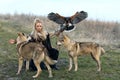 Beautiful northern warrior woman in viking clothes with wolves and Harris Hawk Parabuteo unicinctus. Royalty Free Stock Photo