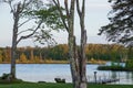 Beautiful Northwoods scene at shoreline of Chippewa Flowage with pier jutting into water and gorgeous trees in Hayward