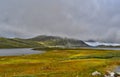 Beautiful Norway landscape. Dark clouds, colourful grass. Royalty Free Stock Photo