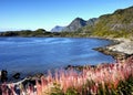 Norway Lofoten Fjord, Arctic Mountains Landscape Royalty Free Stock Photo