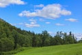 Beautiful Norwegian landscape with trees firs mountains rocks. Norway Nature Royalty Free Stock Photo