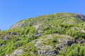 Beautiful Norwegian landscape with trees firs mountains rocks. Norway Nature Royalty Free Stock Photo