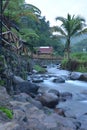 beautiful nuance in the morning surrounded by rice fields and cool air