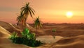 Beautiful oasis in the desert sand