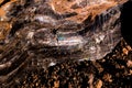 Beautiful obsidian close up Royalty Free Stock Photo