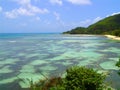 Beautiful ocean bottom, and landscape in Seychelle